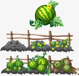 娱乐吃瓜头像图片图文并茂,揭秘明星幕后故事，趣味头像带你一探究竟